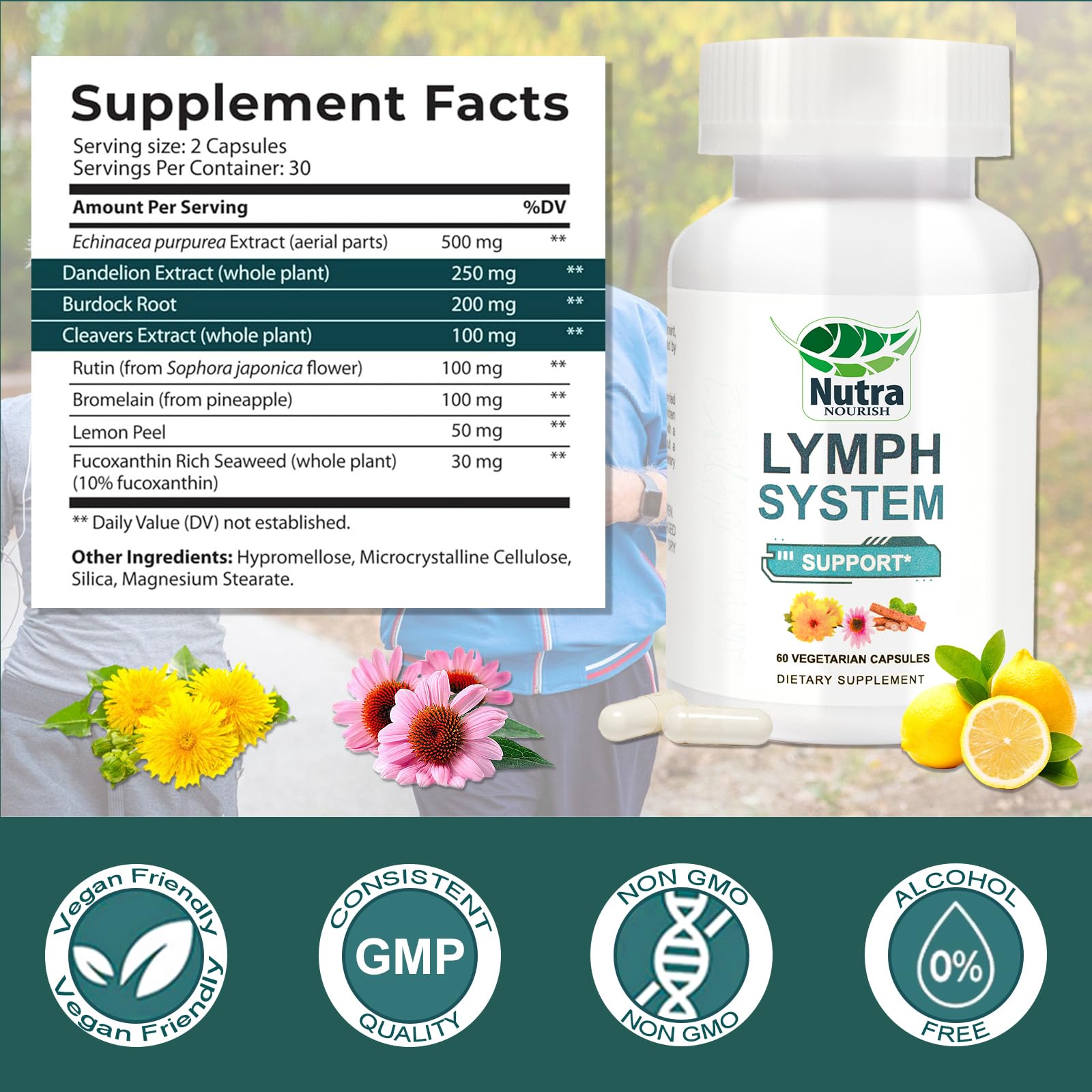 Close-up of Echinacea, Dandelion, and Bromelain ingredients