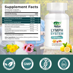 Close-up of Echinacea, Dandelion, and Bromelain ingredients