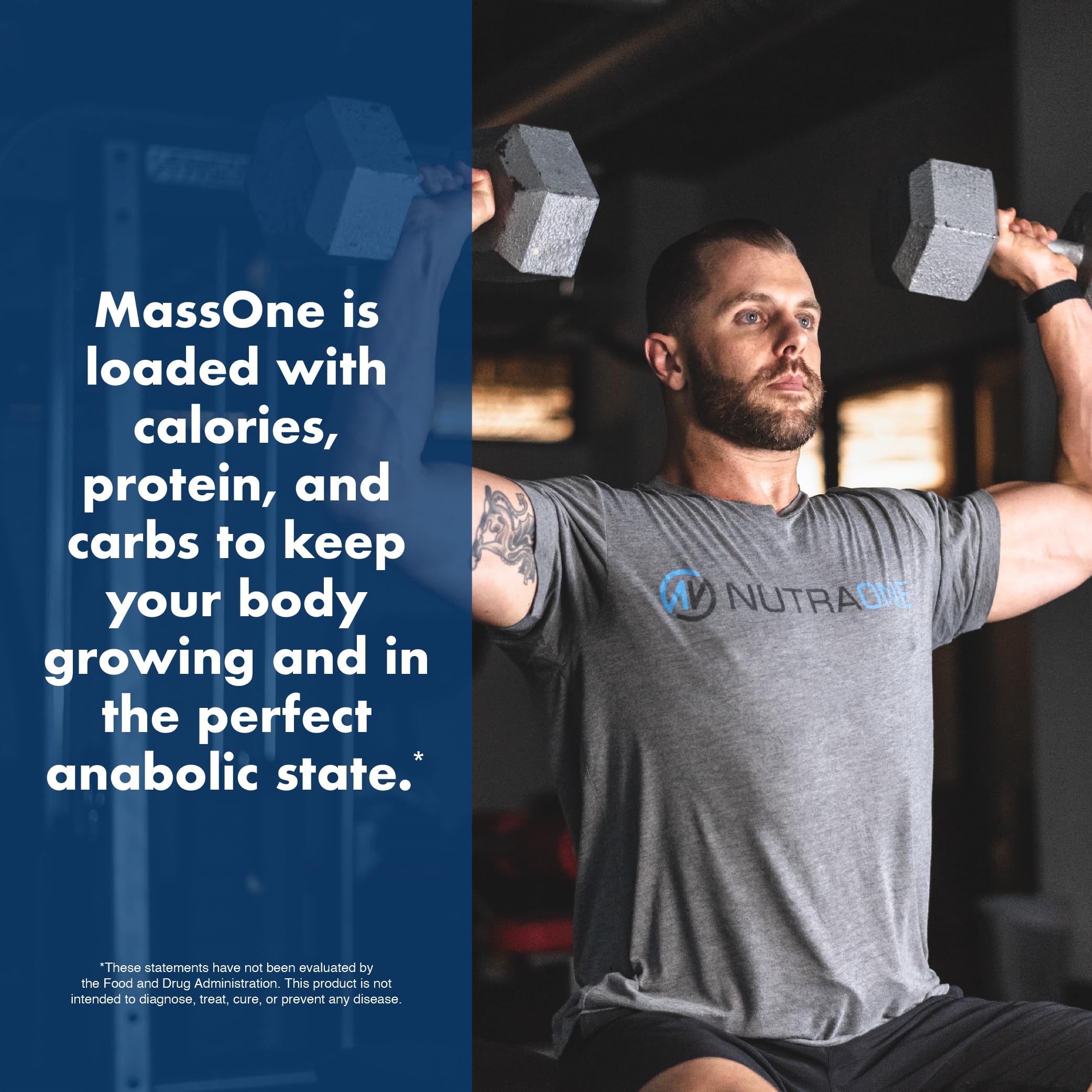 NutraOne MassOne vanilla macro chart graphic supporting energy planning