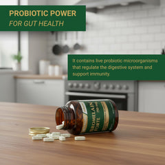 Pineapple illustration representing bromelain source