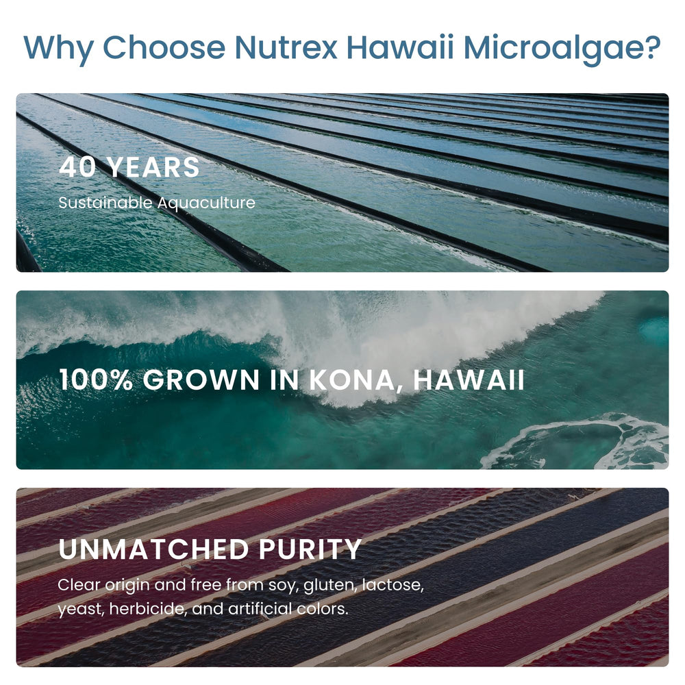 Vegan spirulina product imagery