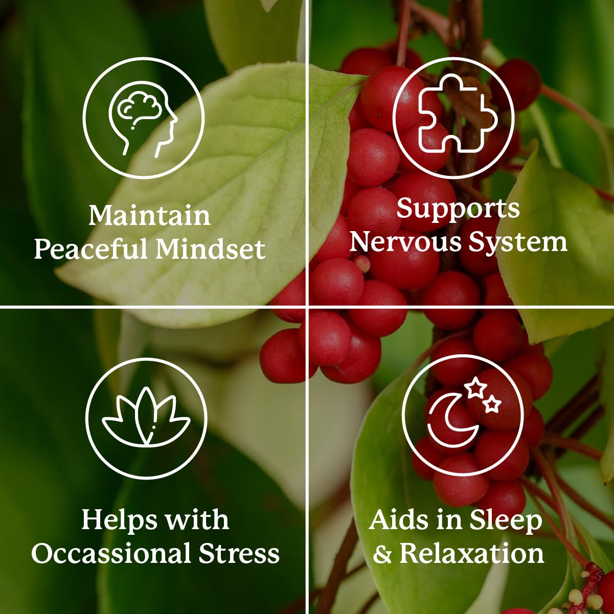 Vitamin C and B-Complex supplement elements associated with Nutri-Calm