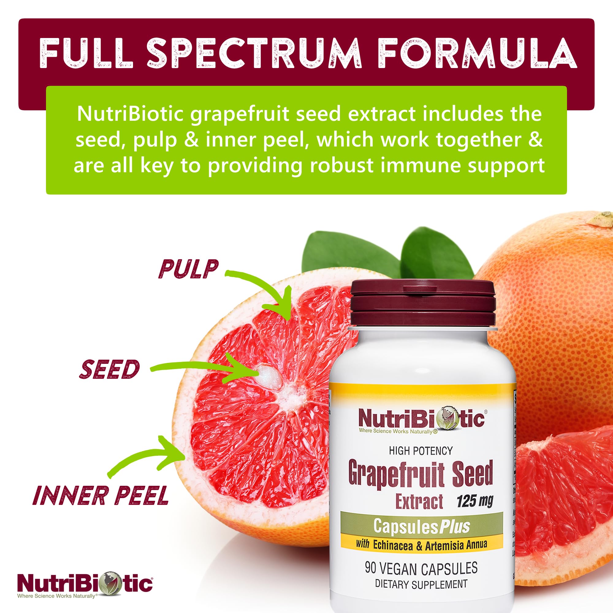 Capsules and bottle highlighting 125 mg GSE content