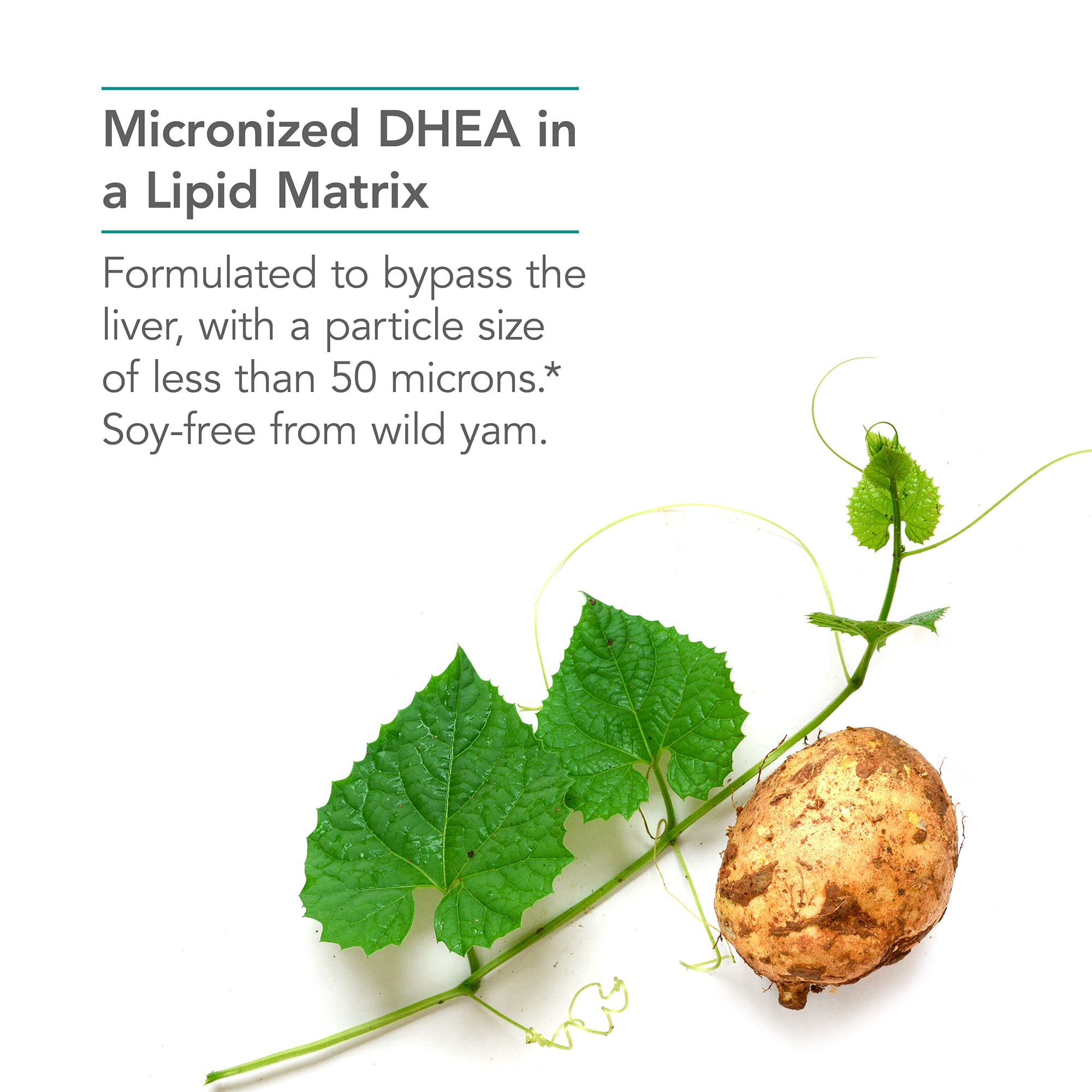 Bottle with capsules and packaging for Nutricology DHEA 10 mg