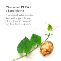 Bottle with capsules and packaging for Nutricology DHEA 10 mg