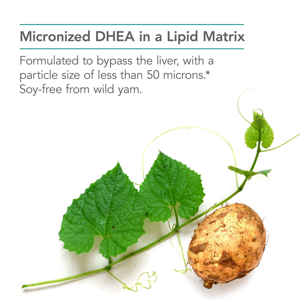 Graphic illustrating the micronized lipid matrix for DHEA absorption