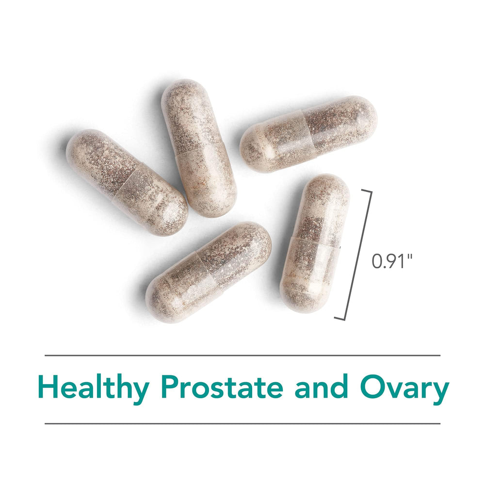 Symbol representing immune support for the product