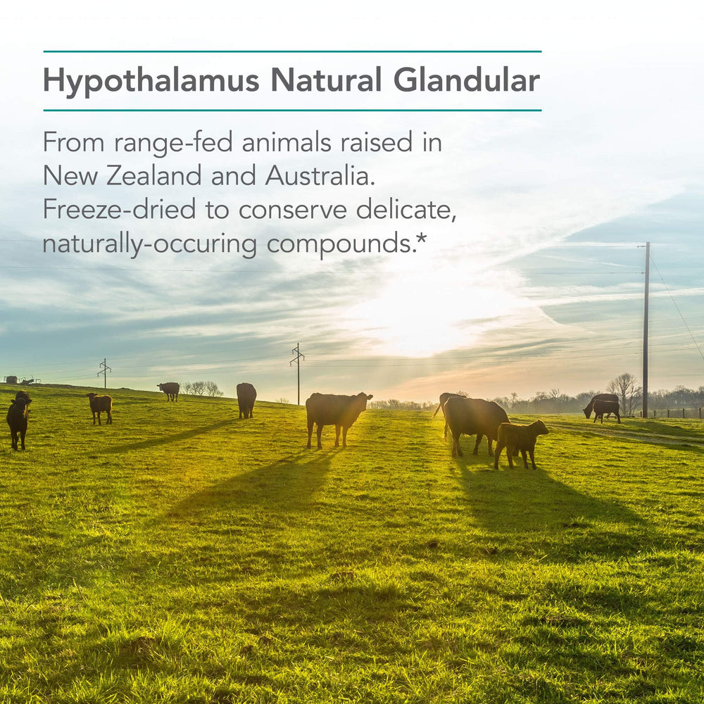 Lyophilized glandular powder close-up