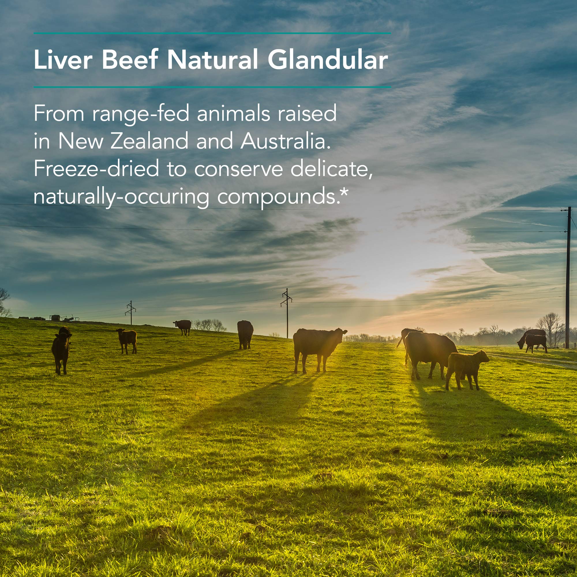 Ingredients and label for Nutricology Liver Beef 125 VegiCaps