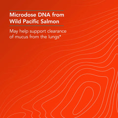 Illustration showing mucus clearance from the lungs