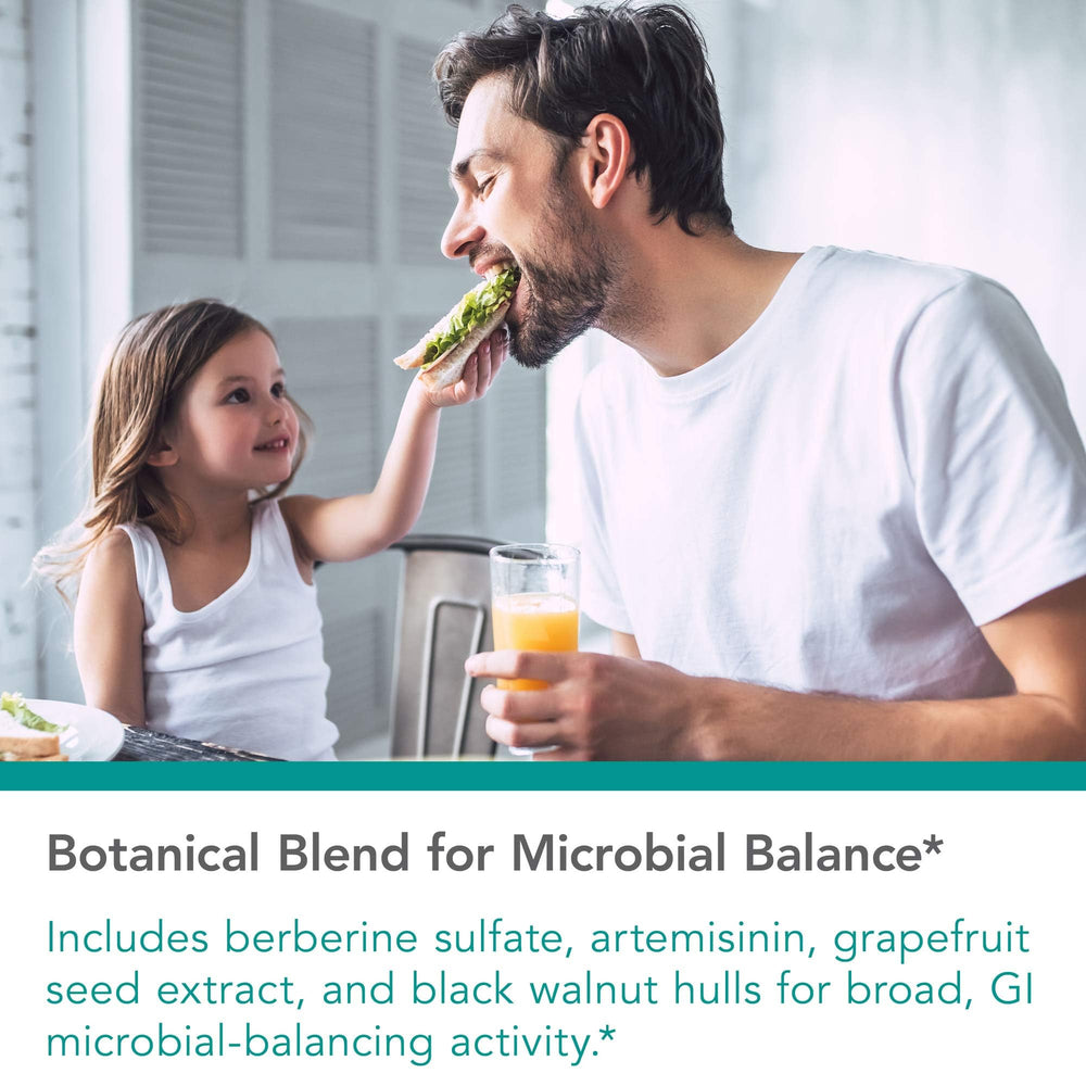 Graphic illustrating gut health and probiotic balance