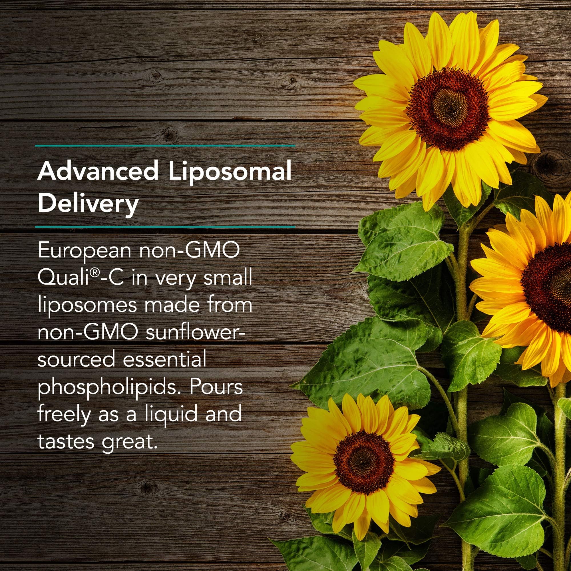 Sunflower phospholipids and sodium ascorbate ingredients