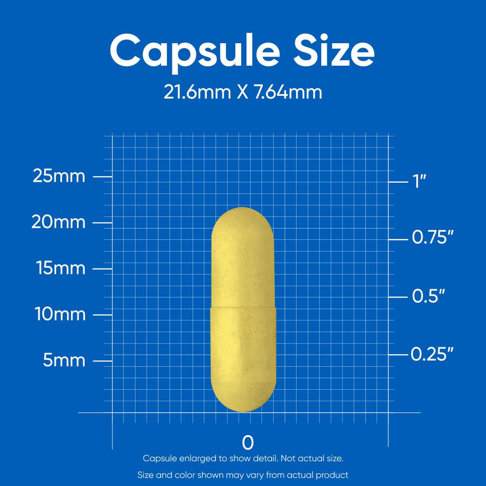 Bottle and capsules arranged for product photography
