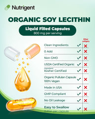Graphic illustrating brain health benefits of Soy Lecithin phosphatidylcholine