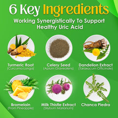 Milk thistle and dandelion components illustration