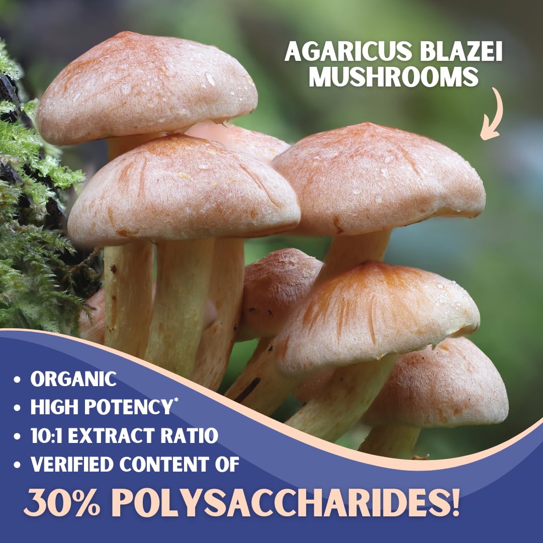 Graphic showing 30% polysaccharides and 10:1 extract