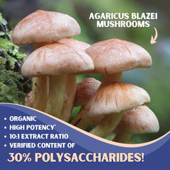 Graphic showing 30% polysaccharides and 10:1 extract