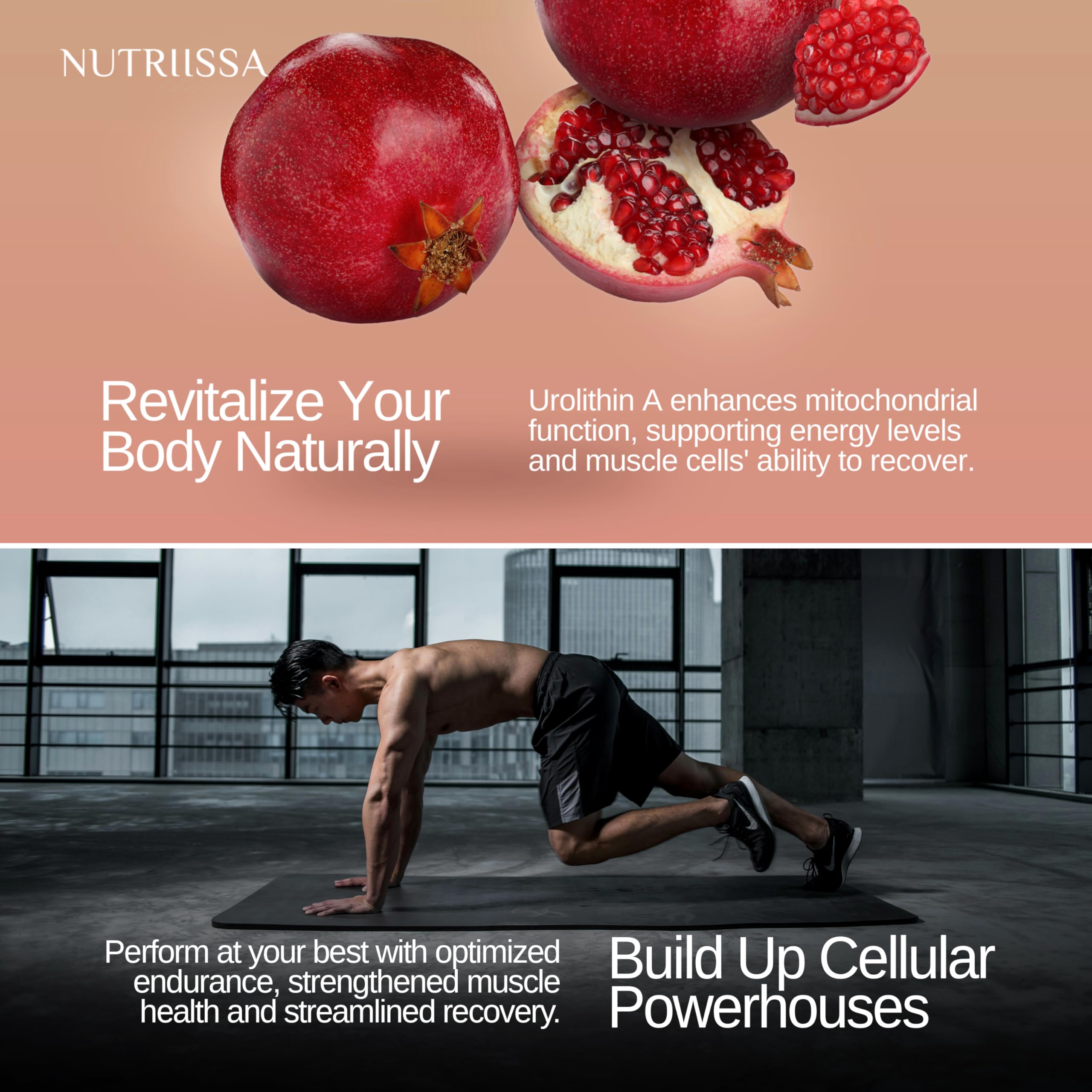 Back panel showing supplement facts for Nutriissa Urolithin A 1000mg