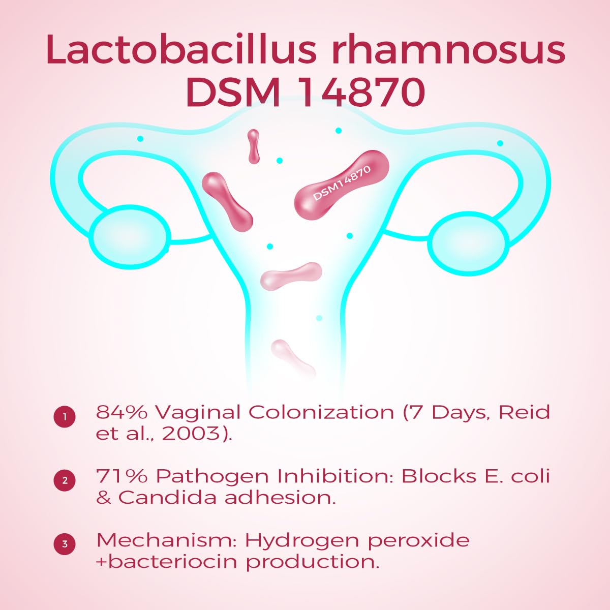 Vegan, gluten-free probiotic formula for women