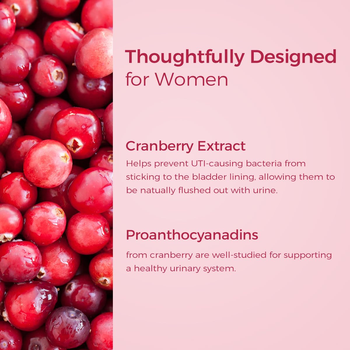 Ingredients: cranberry extract and prebiotics in NutriShpere Probiotics
