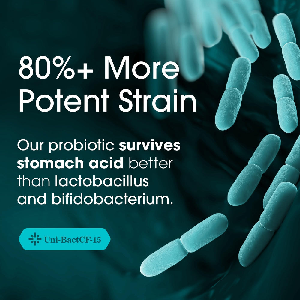 Nutri-Fructo B-88 prebiotic fiber image