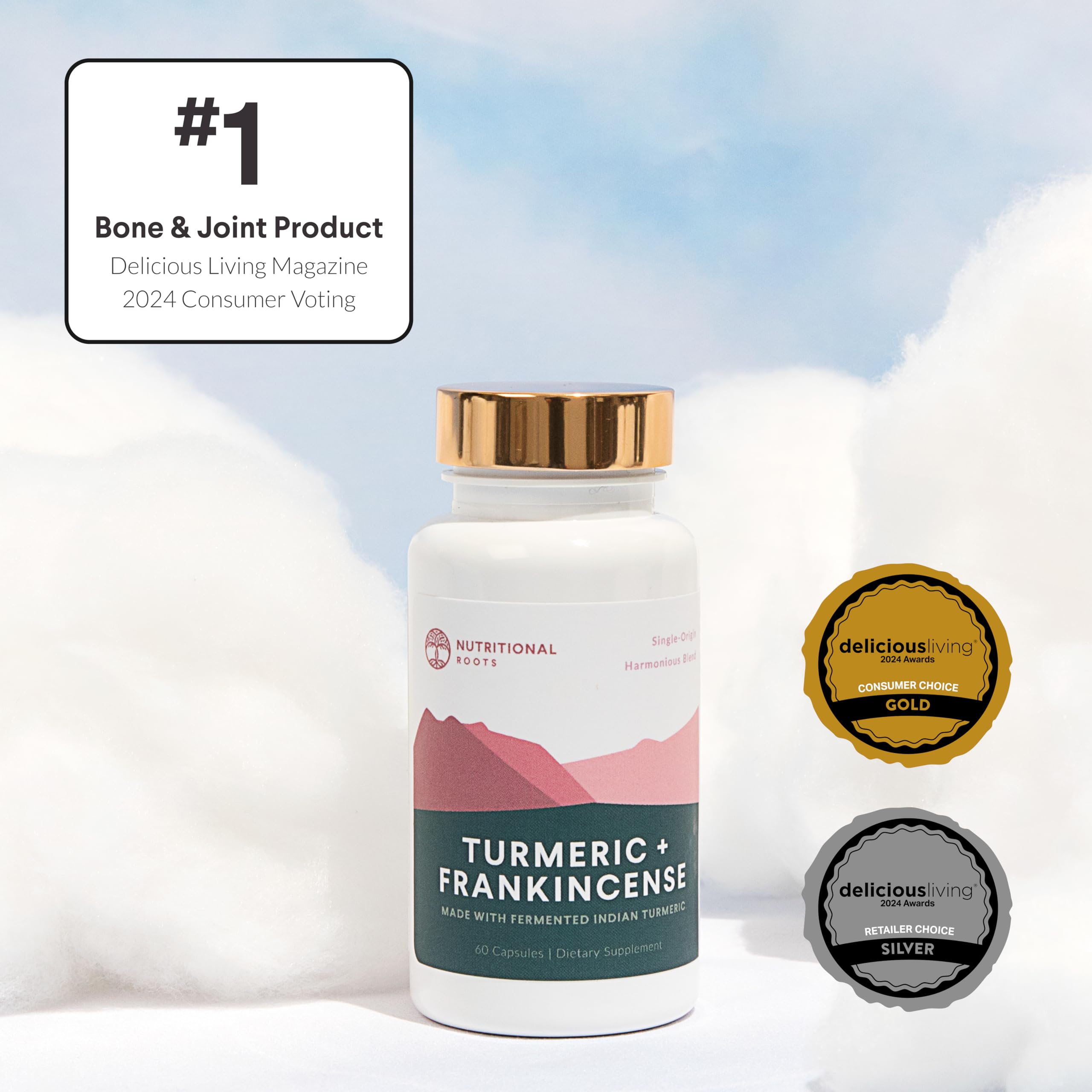 Fermented turmeric and turmeric extract