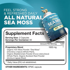 Close-up of Nutrivein Sea Moss 1600mg ingredients