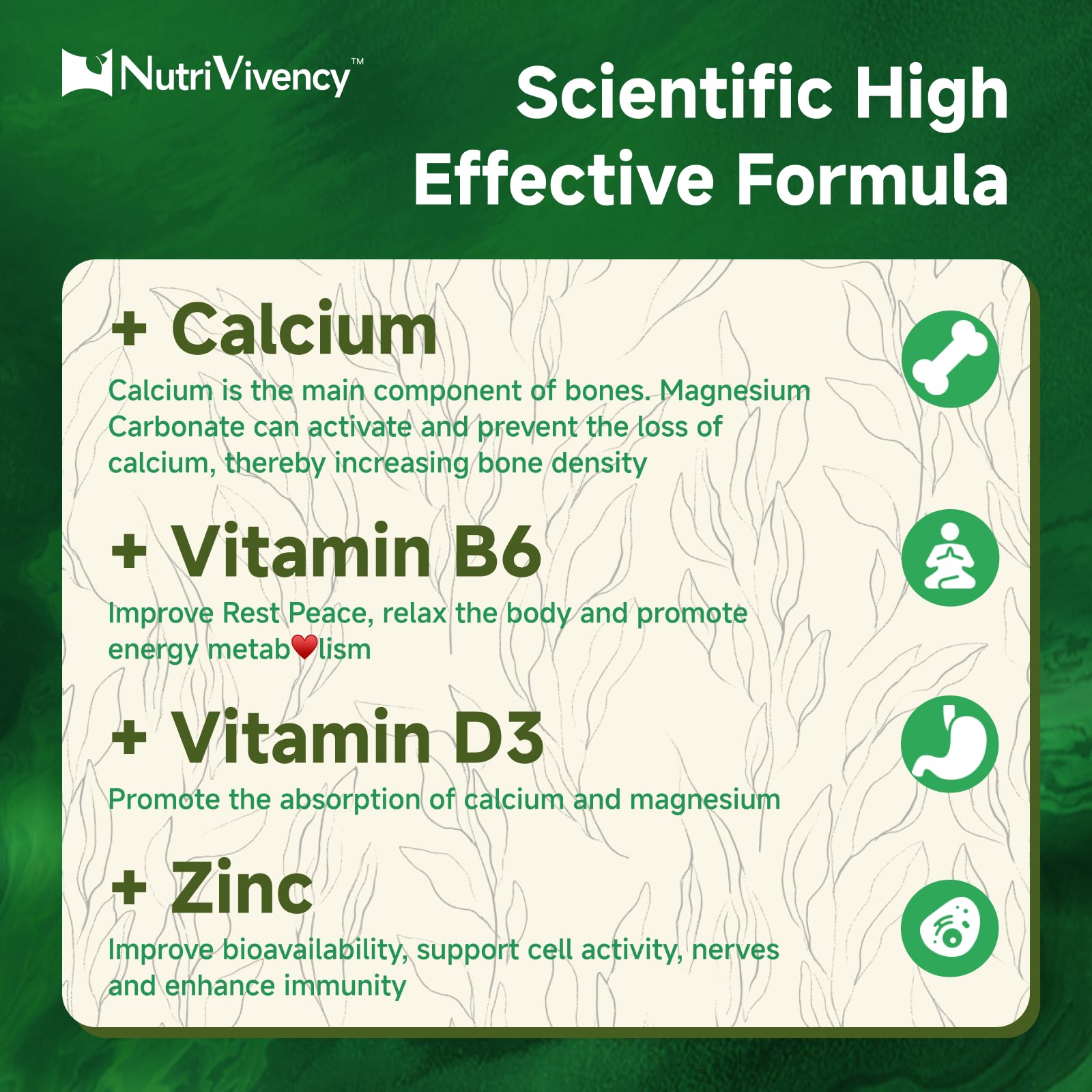 Arrangement of NutriVivency ingredients flatlay emphasizing combined nutrient support benefit