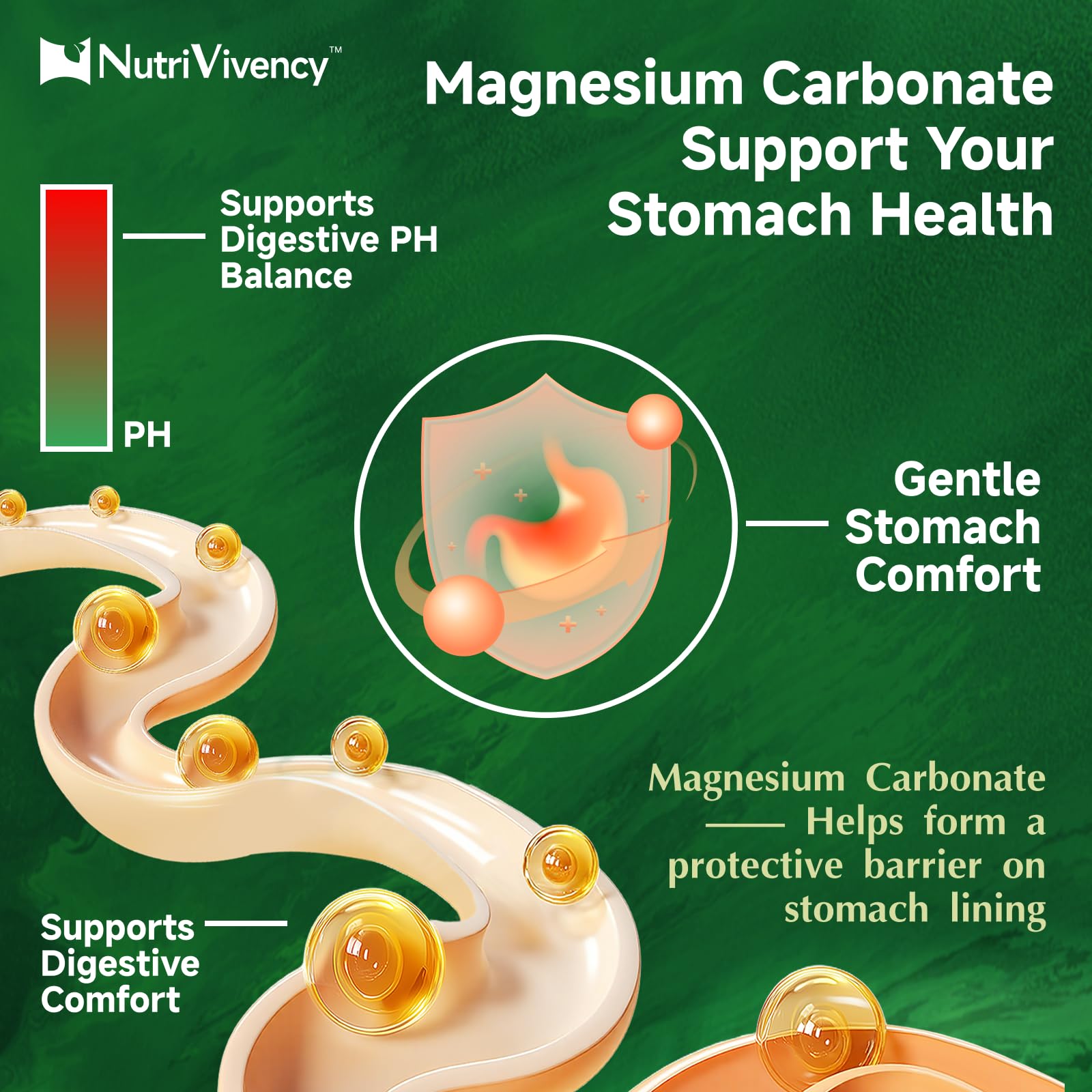 NutriVivency nutritional label detail displaying ingredient transparency and dosing benefit