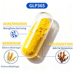 Ingredients: Berberine, Fucoxanthin and Akkermansia