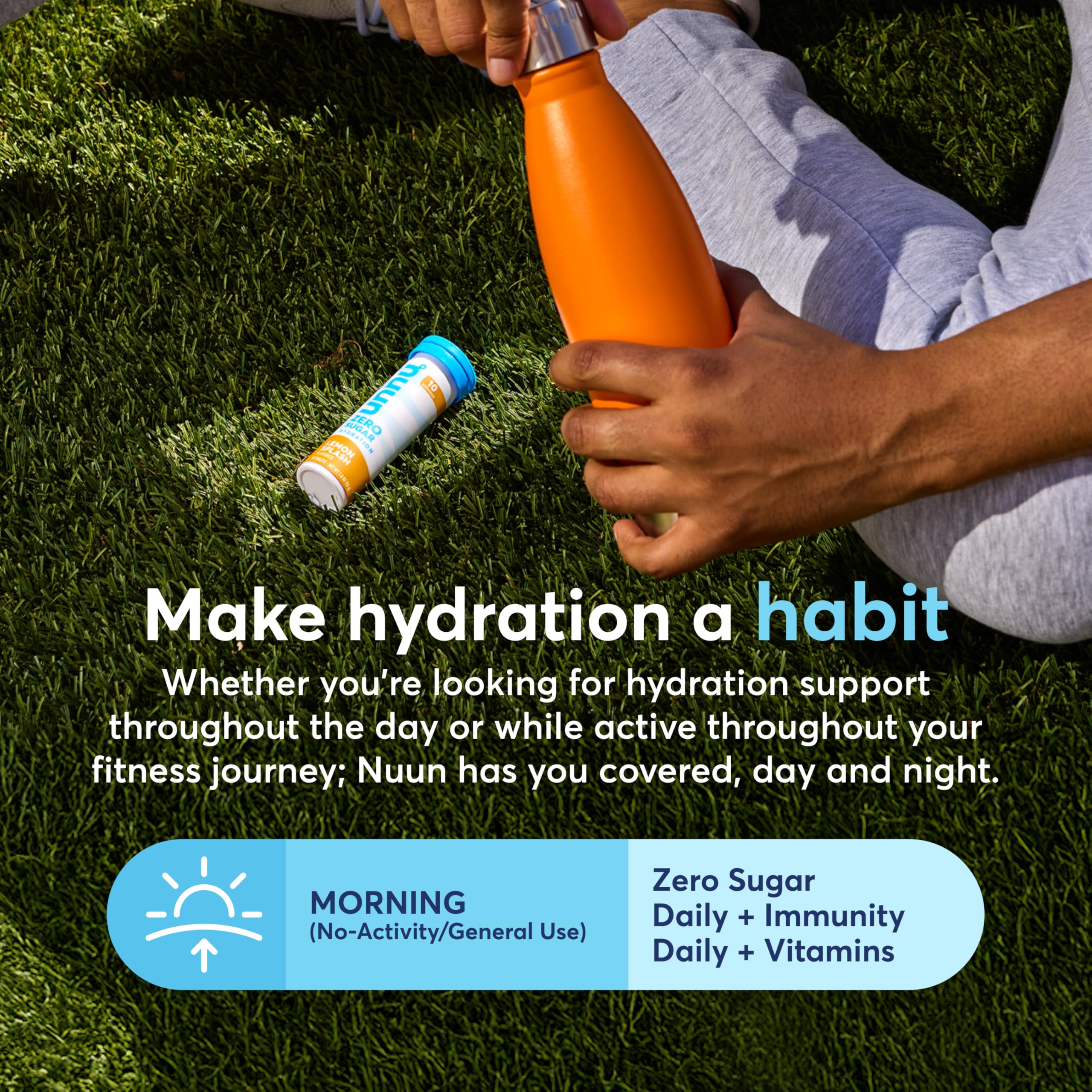 Icons for elderberry, zinc, turmeric, ginger and echinacea