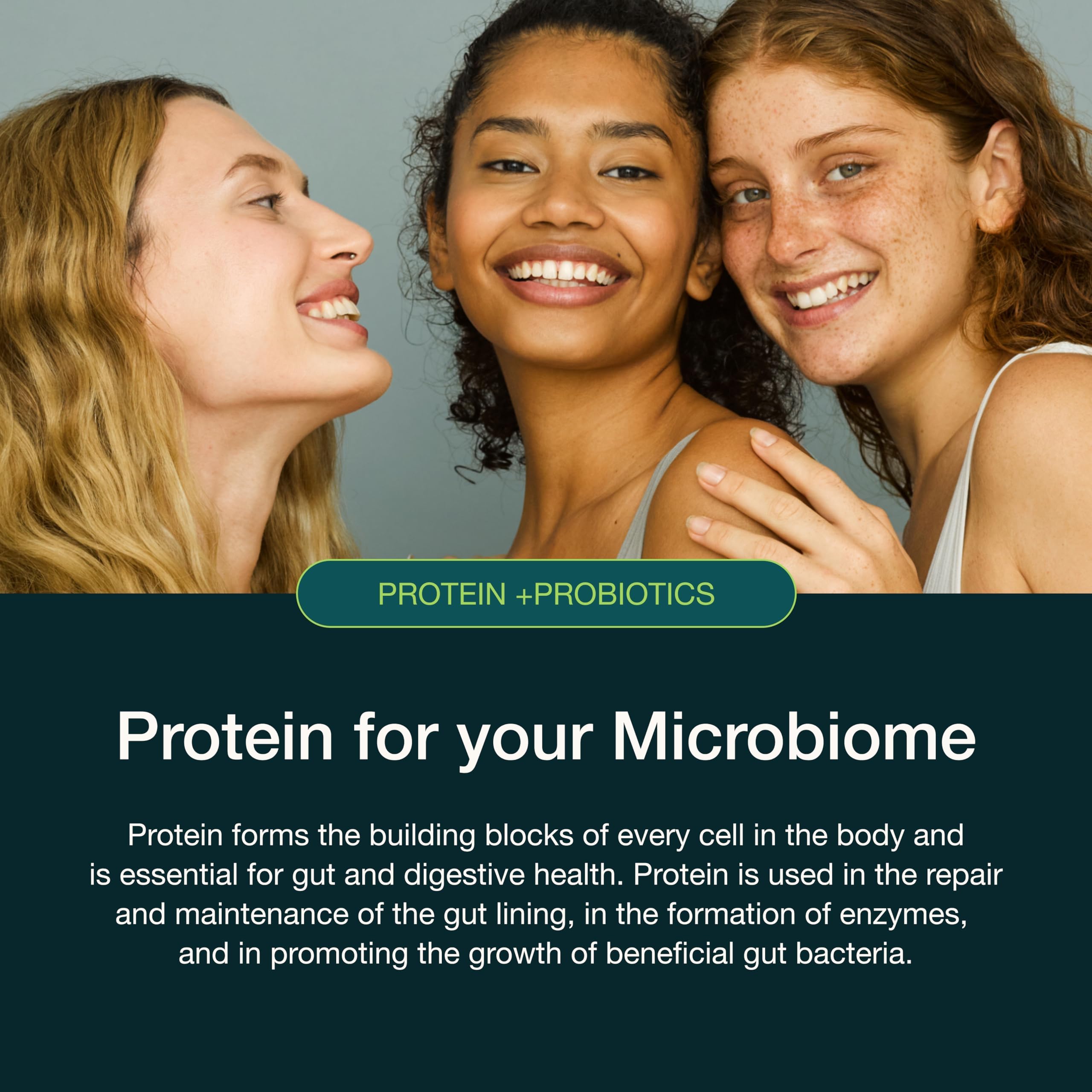 Ingredients panel of Nuzest Plant Protein Blend with probiotics