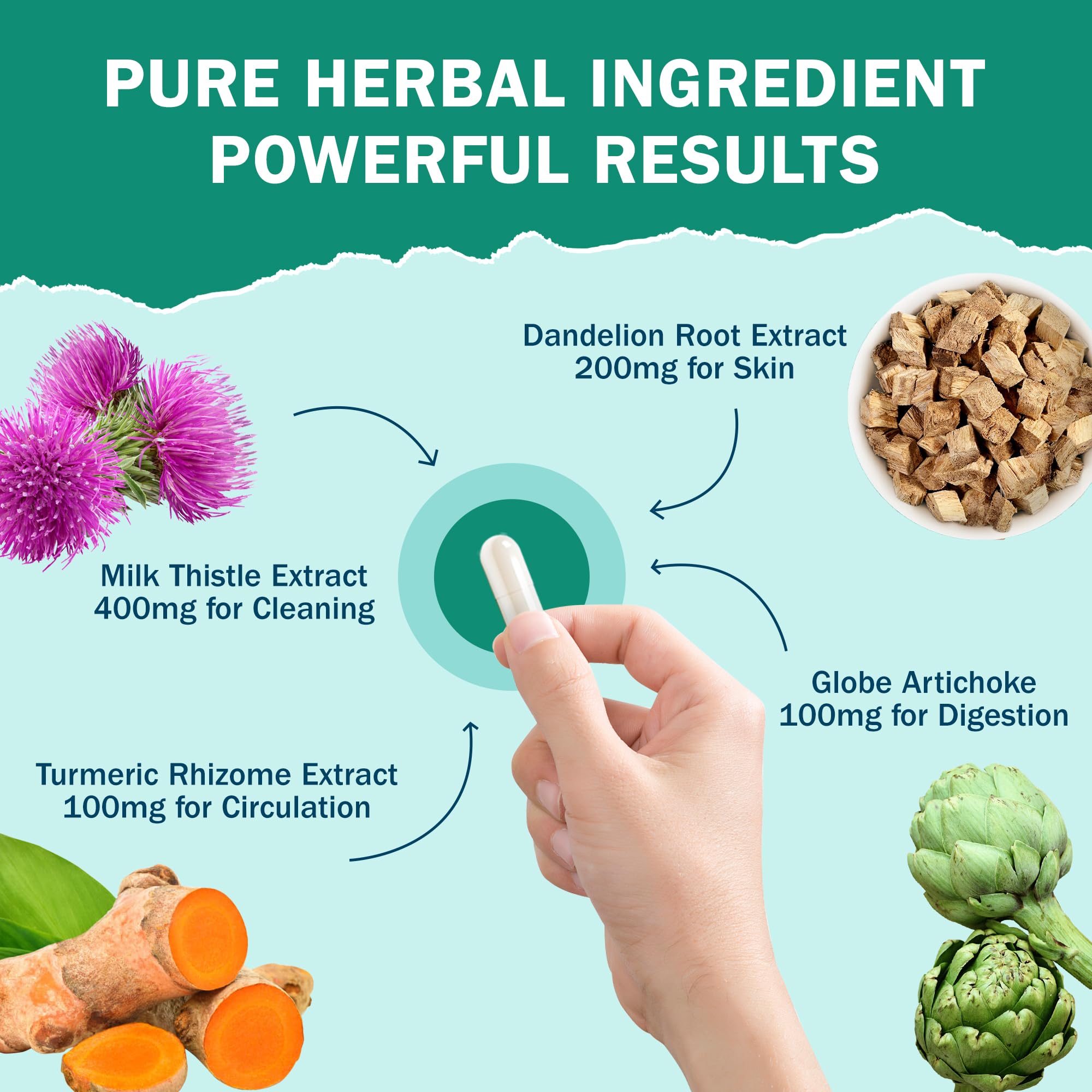 Ingredients: milk thistle, artichoke, dandelion and turmeric