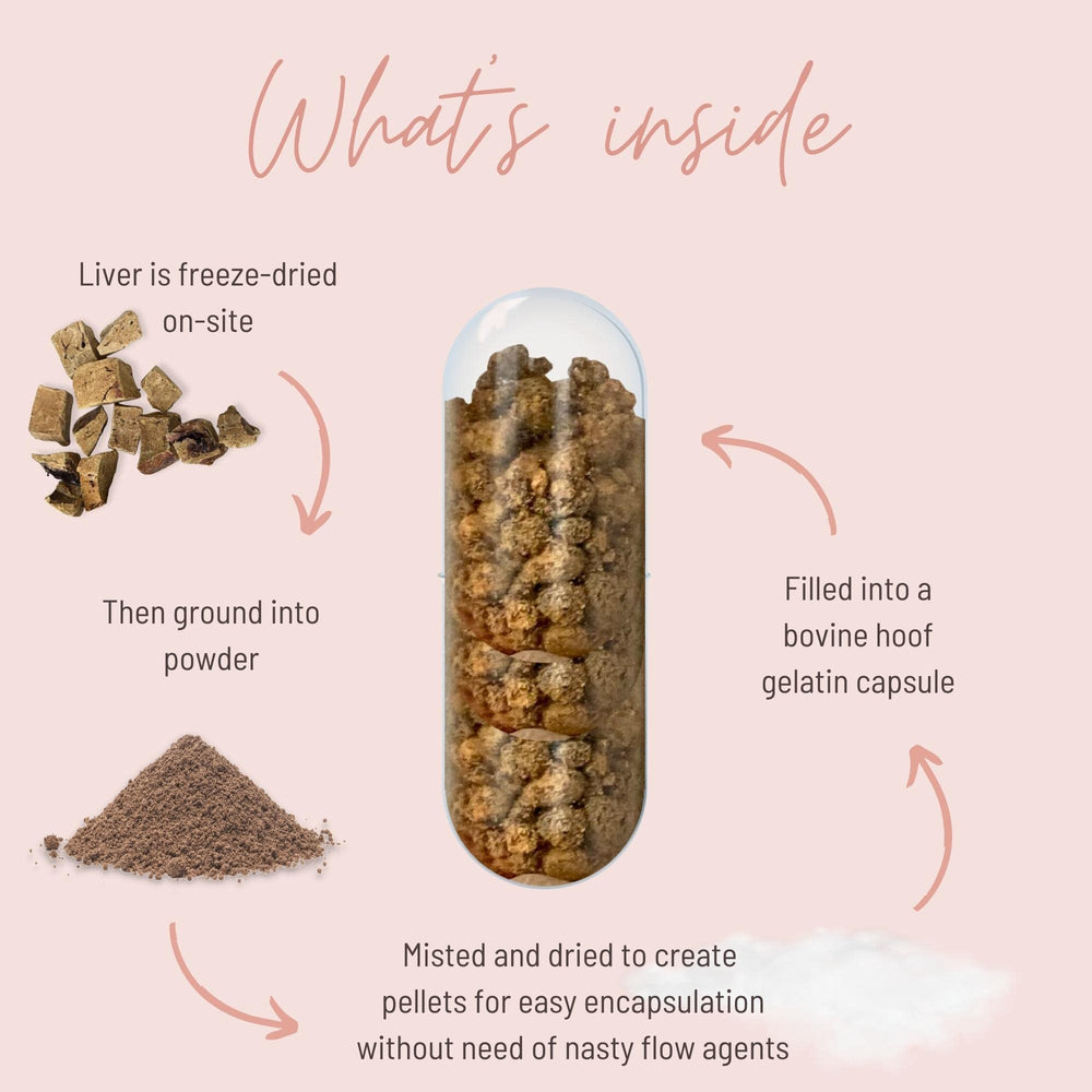 New Zealand pasture-raised cattle grazing in a field