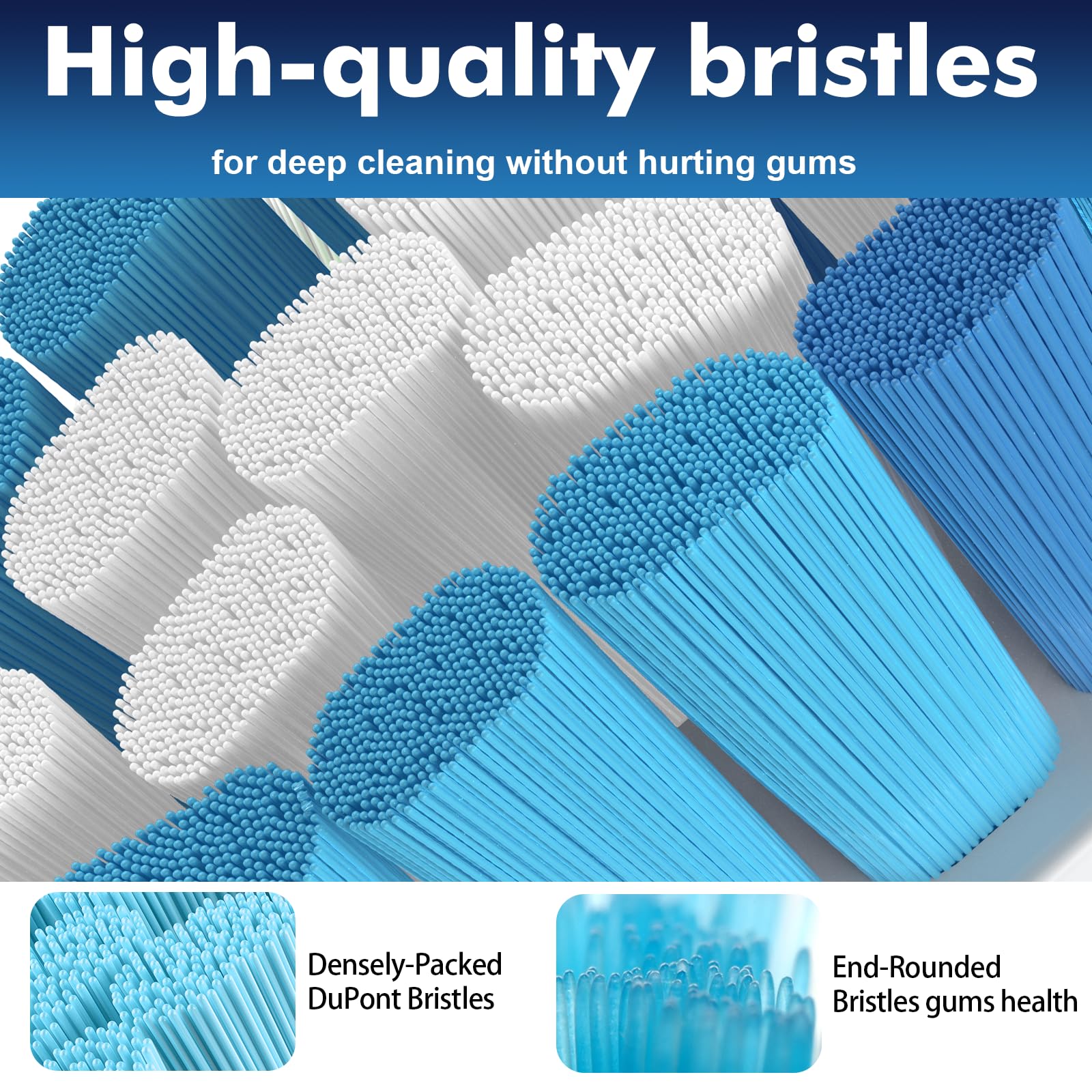 Blue indicator bristles fading to white after about 3 months