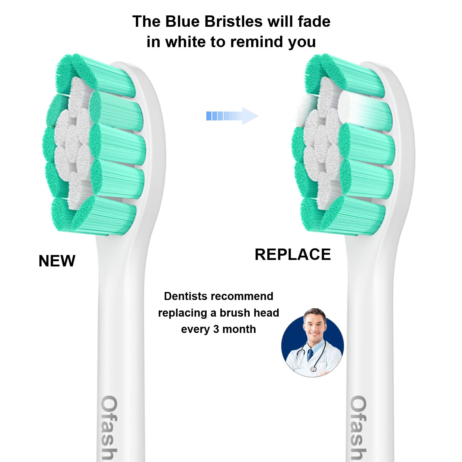 End-rounded bristles design close-up
