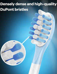 Indicator bristles blue fading to white after 3 months