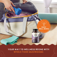 Back label with supplement facts for Ohana Reishi+