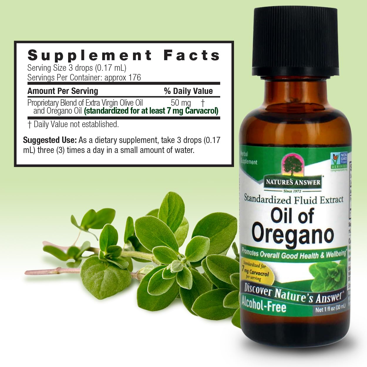Digestive health benefits illustration for oregano oil