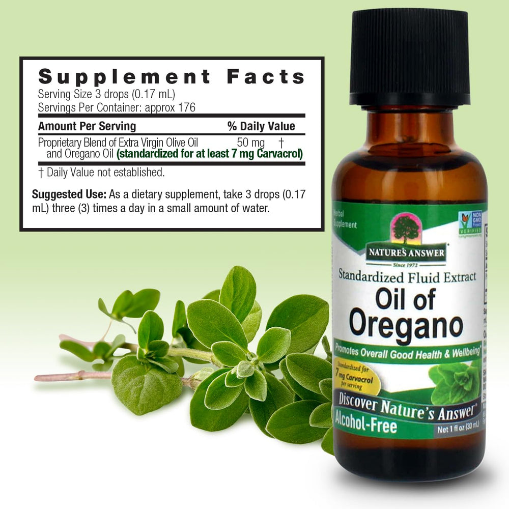 Digestive health benefits illustration for oregano oil