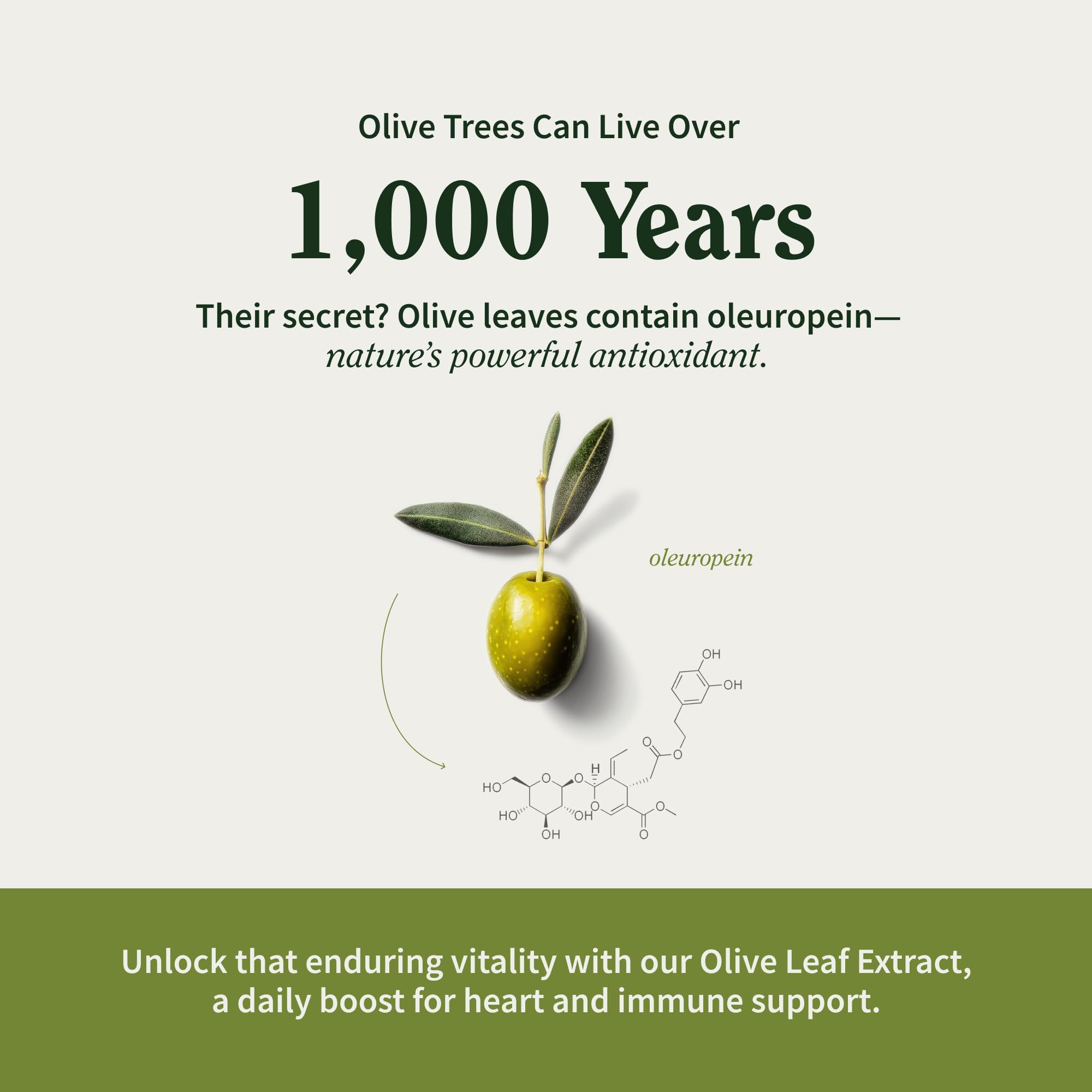 Capsules for digestion and brain function support.