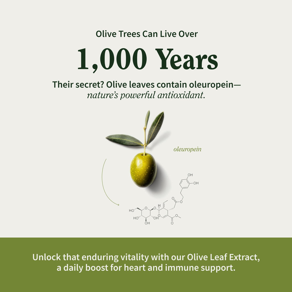 Capsules for digestion and brain function support.