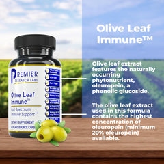 Olive leaf extract capsules with 60 vegetarian capsules