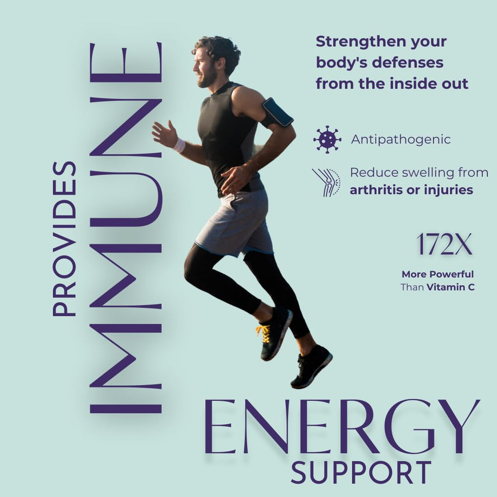 Ingredients diagram for C60 Evo Olive Oil Softgel Capsules