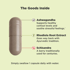 Bottle of OLLY Chill featuring rhodiola and mood support