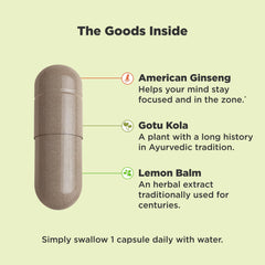 Close-up of American Ginseng herb