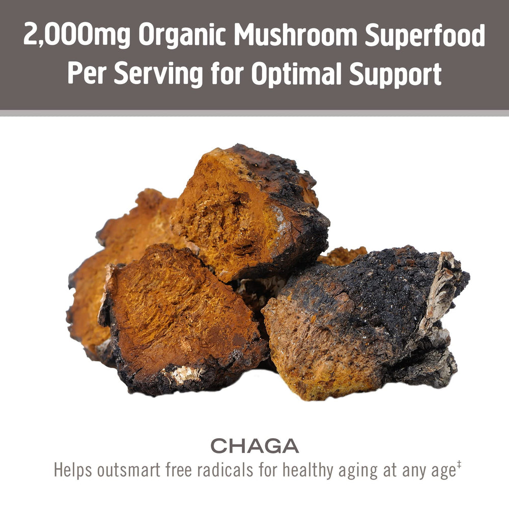 Chaga powder added to coffee