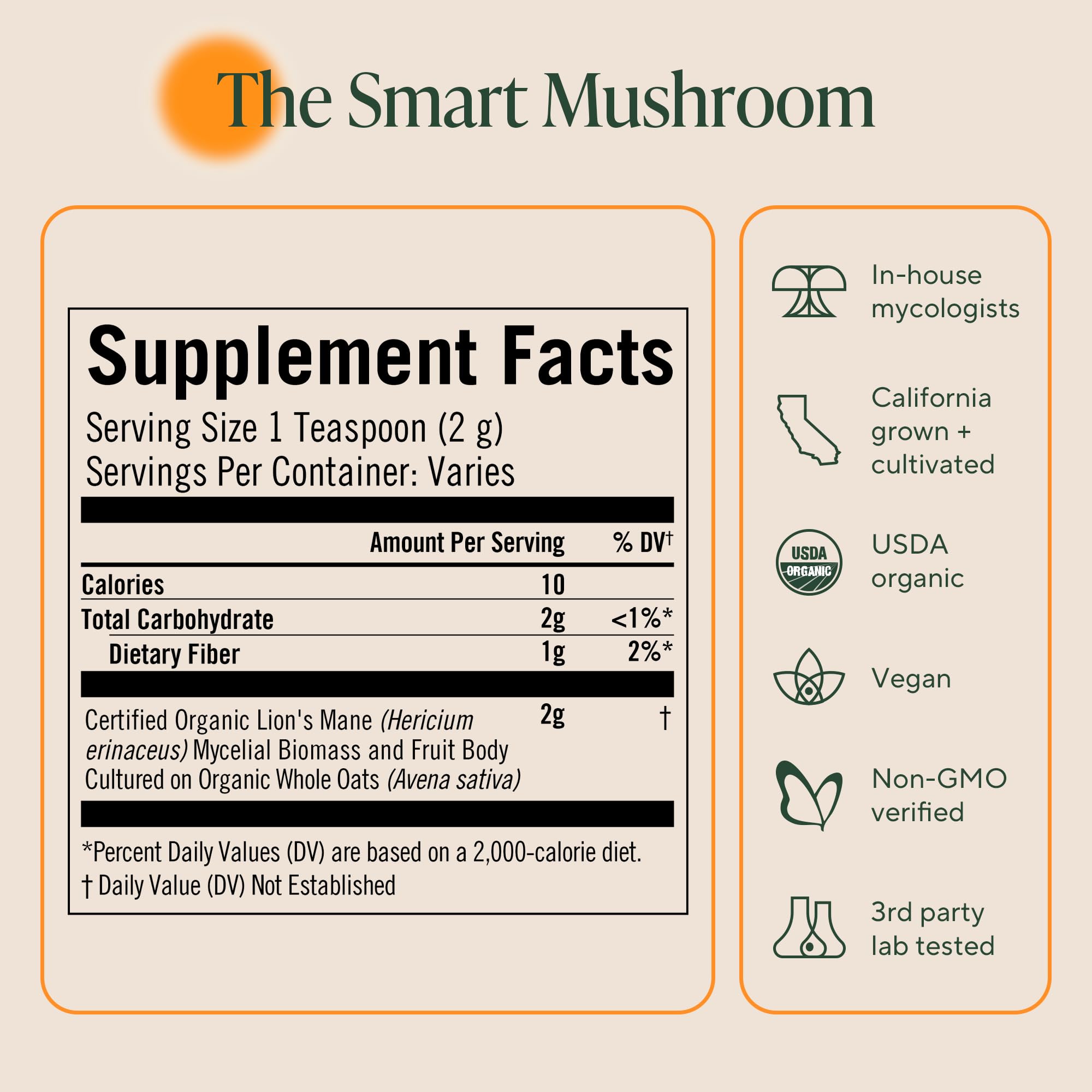 Illustration of memory, focus and nerve health benefits