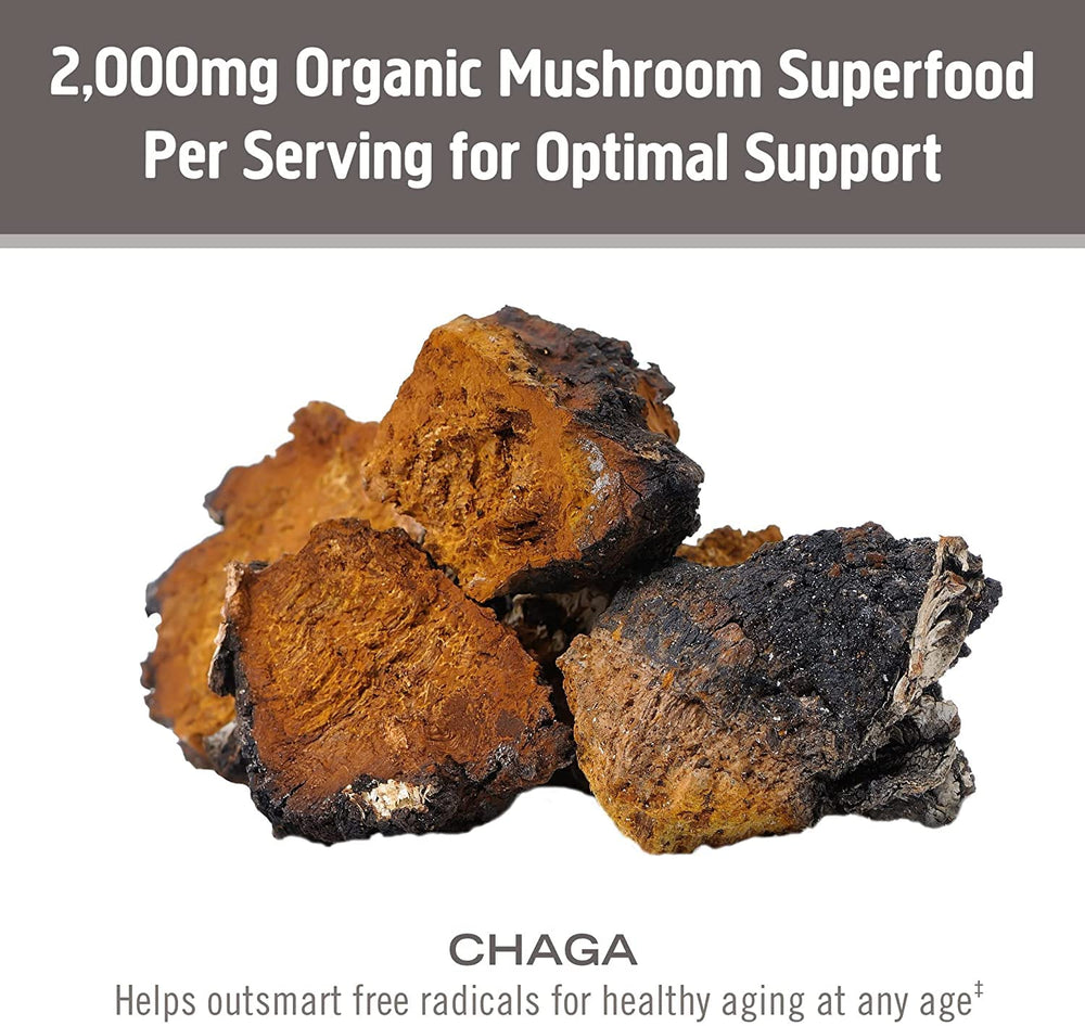 Third-party tested Om Mushroom Chaga powder for purity and potency