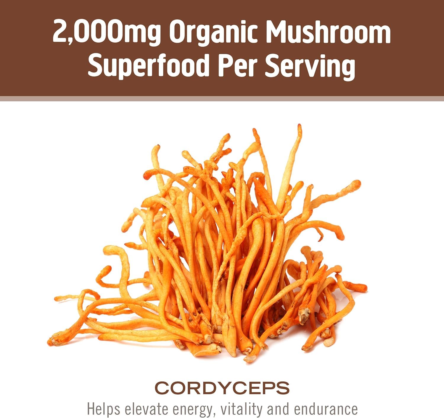 Mushrooms grown in Southern California – USA grown